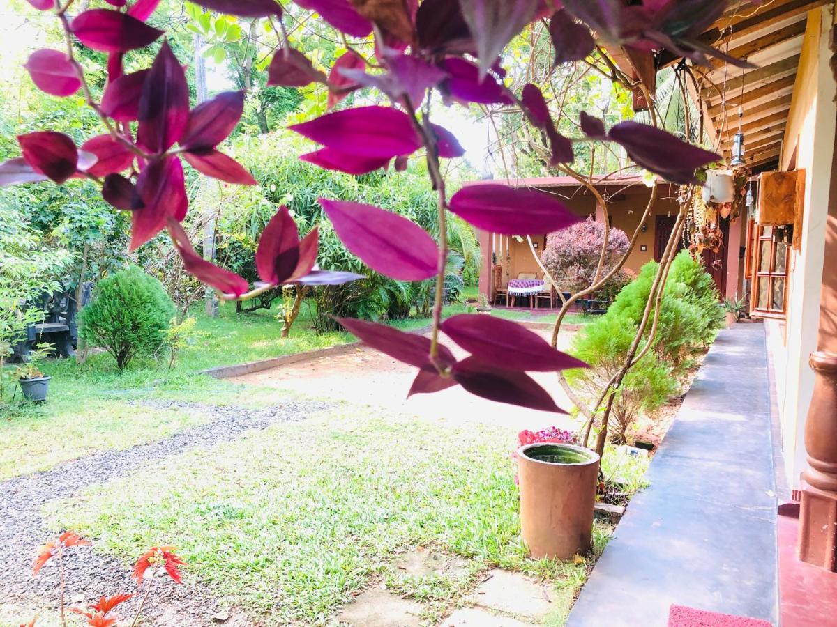 Sigiriya Nature Villa Lodge Buitenkant foto