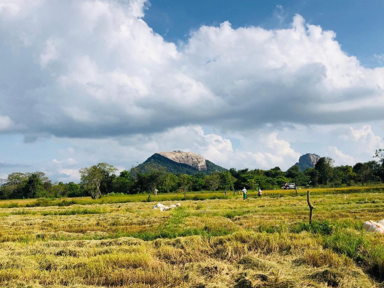 Sigiriya Nature Villa Lodge Buitenkant foto