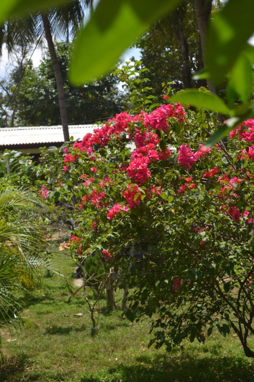 Sigiriya Nature Villa Lodge Buitenkant foto